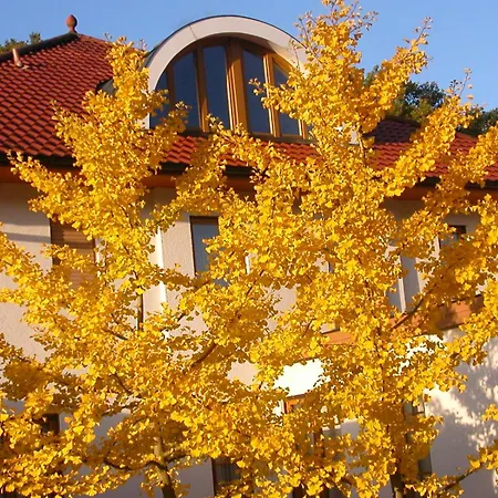 My Favorite Apartment Eichenbuhl (Miltenberg)
